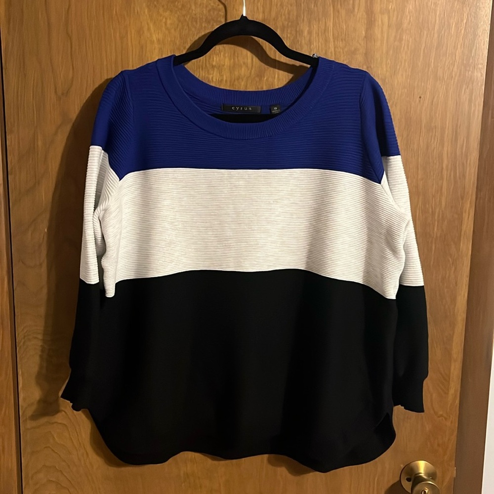Color block sweater Size 1X